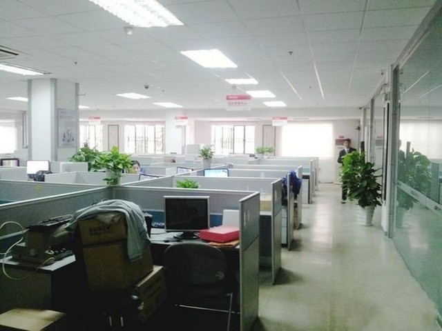 山东茶叶纸品包装